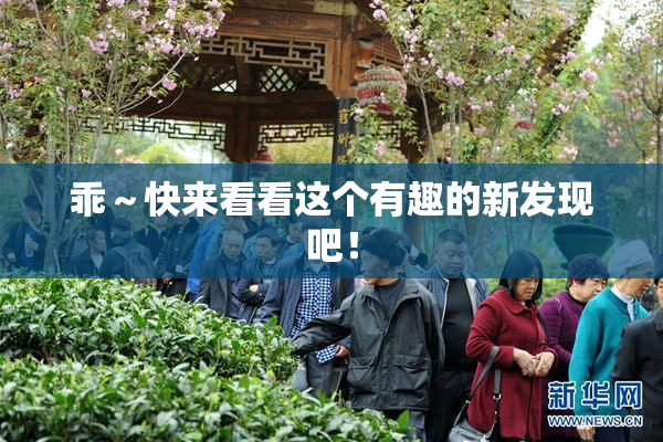 乖～快来看看这个有趣的新发现吧！