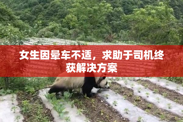 女生因晕车不适，求助于司机终获解决方案