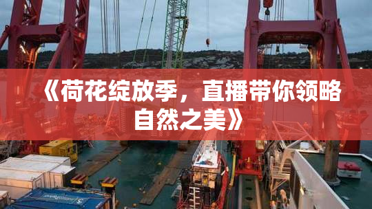 《荷花绽放季，直播带你领略自然之美》