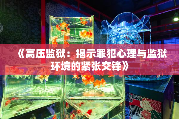 《高压监狱：揭示罪犯心理与监狱环境的紧张交锋》
