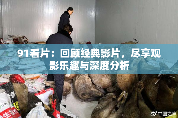91看片：回顾经典影片，尽享观影乐趣与深度分析