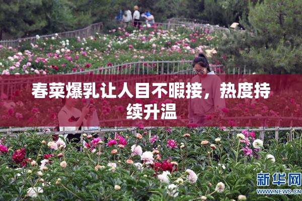 春菜爆乳让人目不暇接，热度持续升温