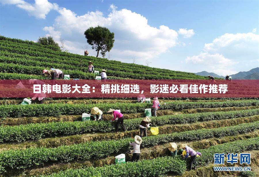 日韩电影大全：精挑细选，影迷必看佳作推荐