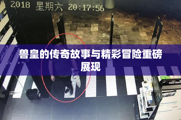 兽皇的传奇故事与精彩冒险重磅展现