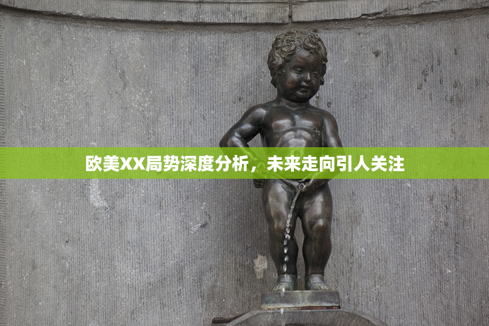 欧美XX局势深度分析，未来走向引人关注