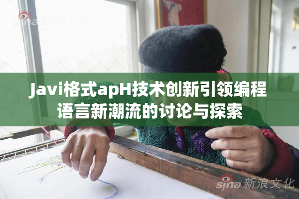Javi格式apH技术创新引领编程语言新潮流的讨论与探索
