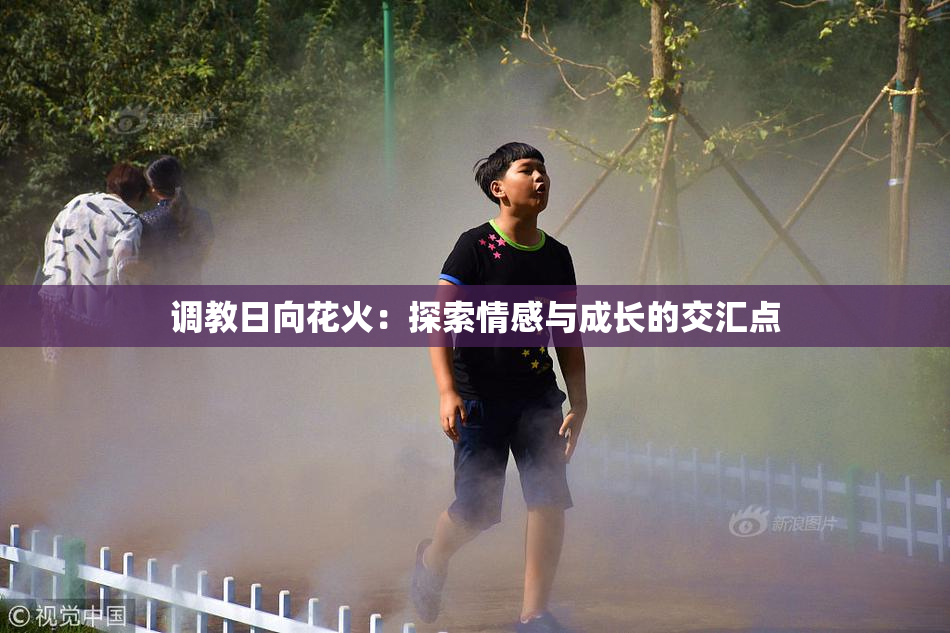 调教日向花火：探索情感与成长的交汇点