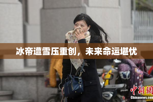 冰帝遭雪压重创，未来命运堪忧