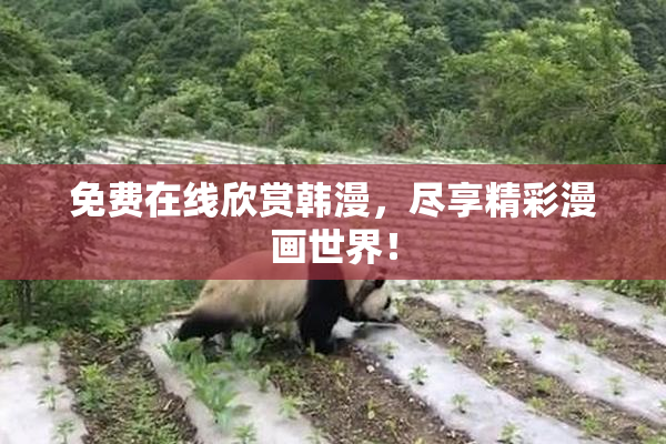 免费在线欣赏韩漫，尽享精彩漫画世界！