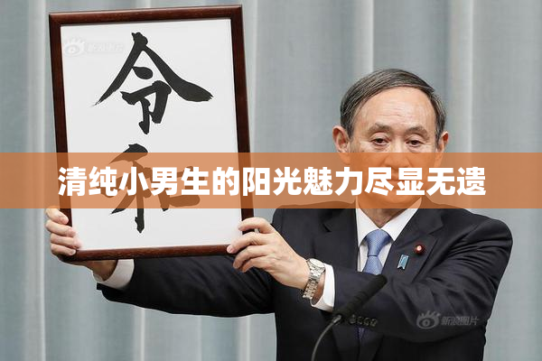清纯小男生的阳光魅力尽显无遗
