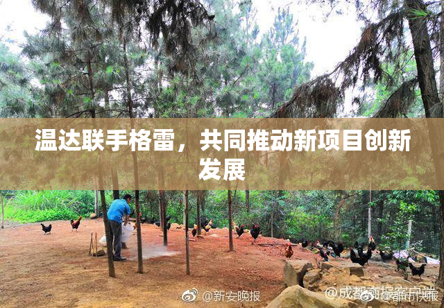 温达联手格雷，共同推动新项目创新发展