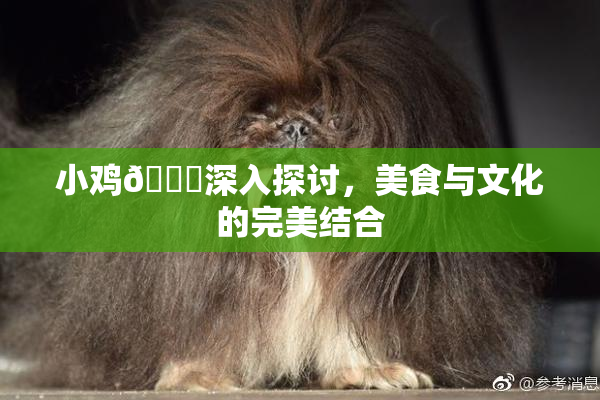 小鸡🐔深入探讨，美食与文化的完美结合
