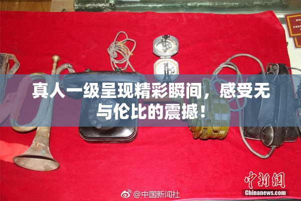 真人一级呈现精彩瞬间，感受无与伦比的震撼！