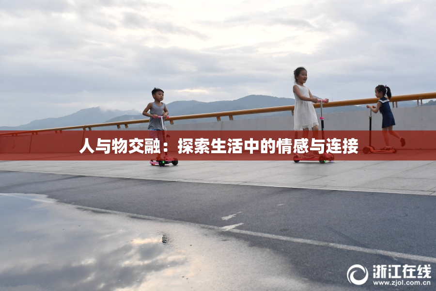 人与物交融：探索生活中的情感与连接
