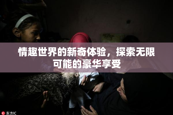 情趣世界的新奇体验，探索无限可能的豪华享受