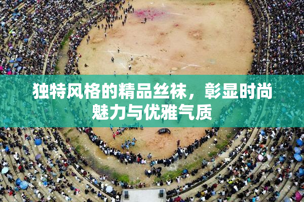 独特风格的精品丝袜，彰显时尚魅力与优雅气质