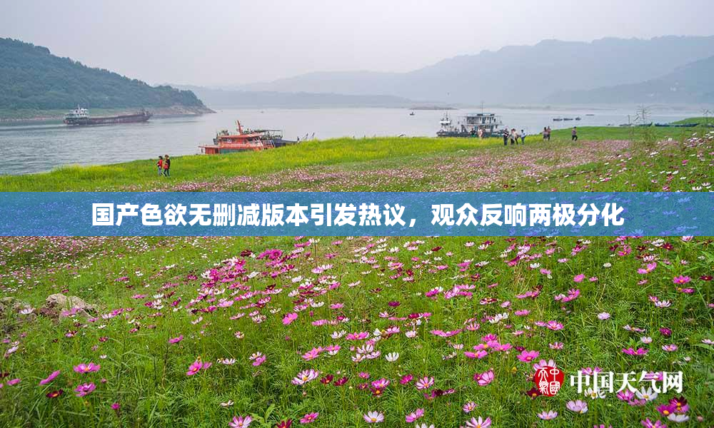 国产色欲无删减版本引发热议，观众反响两极分化