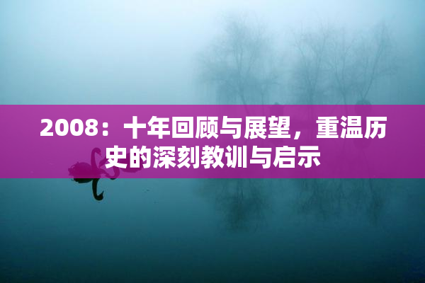 2008：十年回顾与展望，重温历史的深刻教训与启示