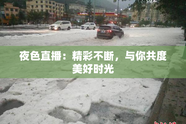 夜色直播：精彩不断，与你共度美好时光