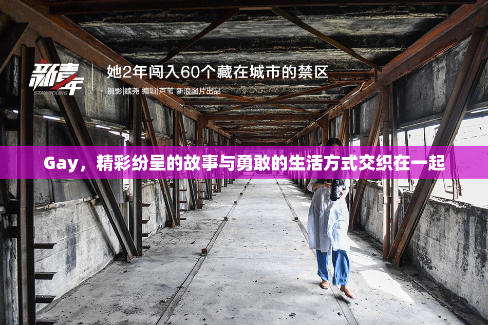Gay，精彩纷呈的故事与勇敢的生活方式交织在一起