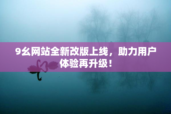 9幺网站全新改版上线，助力用户体验再升级！
