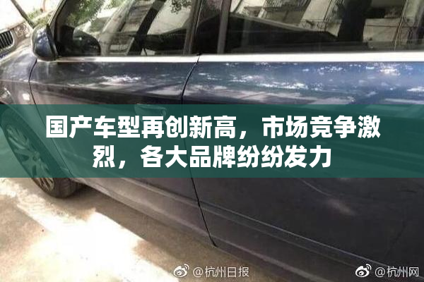 国产车型再创新高，市场竞争激烈，各大品牌纷纷发力