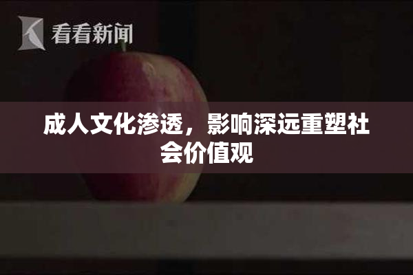 成人文化渗透，影响深远重塑社会价值观