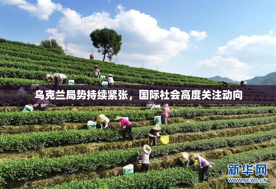 乌克兰局势持续紧张，国际社会高度关注动向