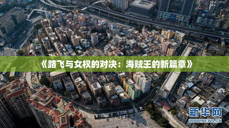 《路飞与女权的对决：海贼王的新篇章》
