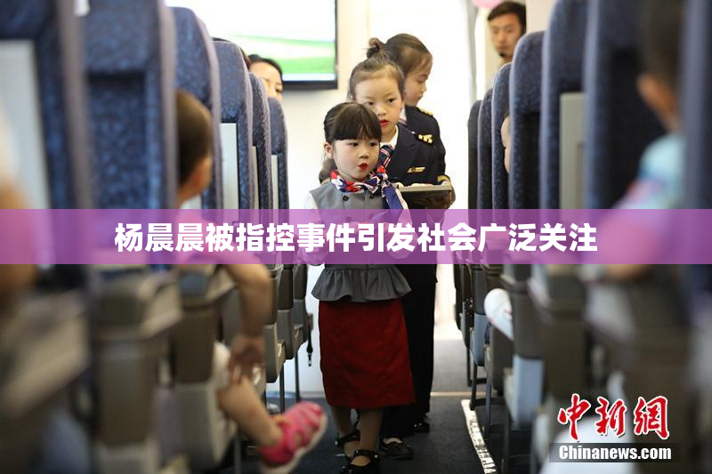 杨晨晨被指控事件引发社会广泛关注