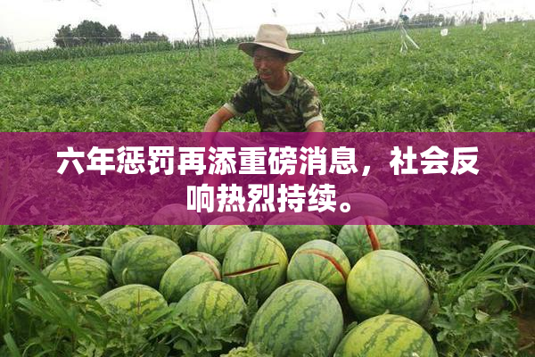 六年惩罚再添重磅消息，社会反响热烈持续。