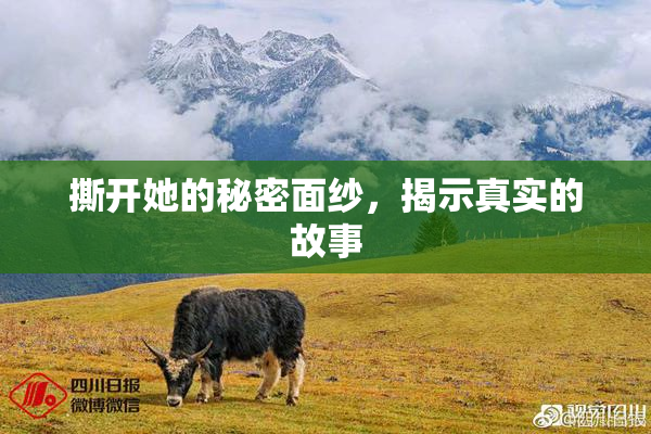 撕开她的秘密面纱，揭示真实的故事