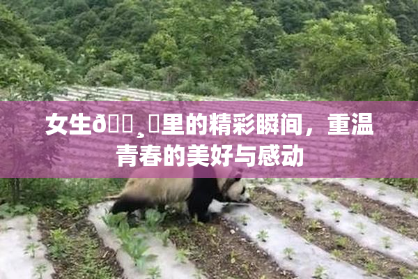 女生🌸‌里的精彩瞬间，重温青春的美好与感动