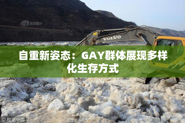 自重新姿态：GAY群体展现多样化生存方式