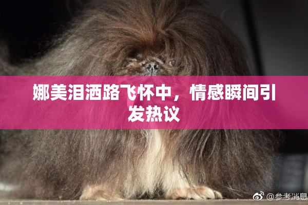 娜美泪洒路飞怀中，情感瞬间引发热议