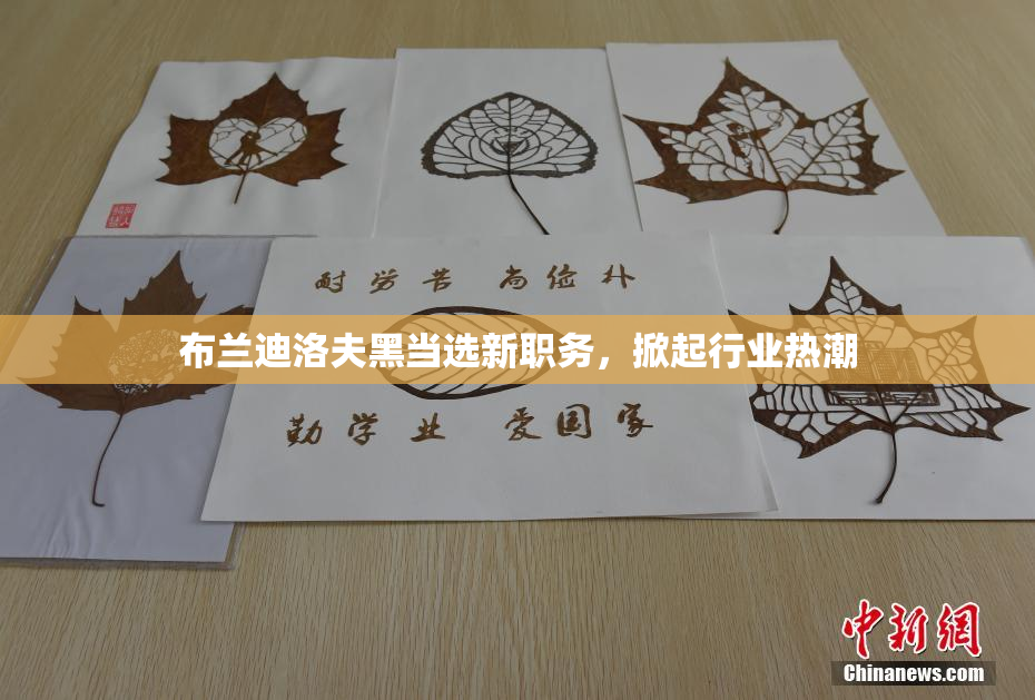 布兰迪洛夫黑当选新职务，掀起行业热潮