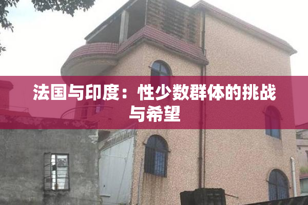 法国与印度：性少数群体的挑战与希望