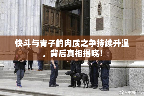 快斗与青子的肉质之争持续升温，背后真相揭晓！