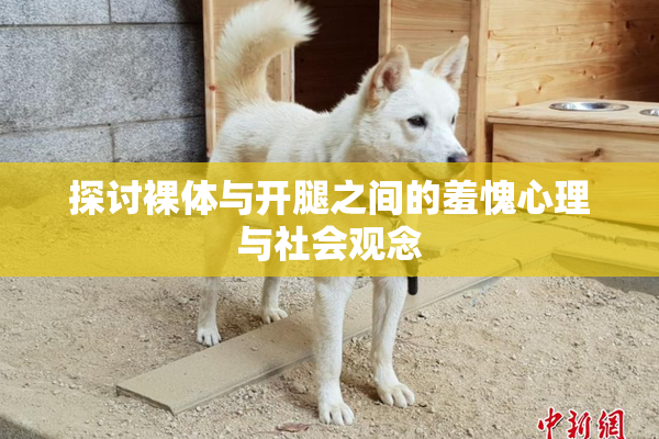 探讨裸体与开腿之间的羞愧心理与社会观念