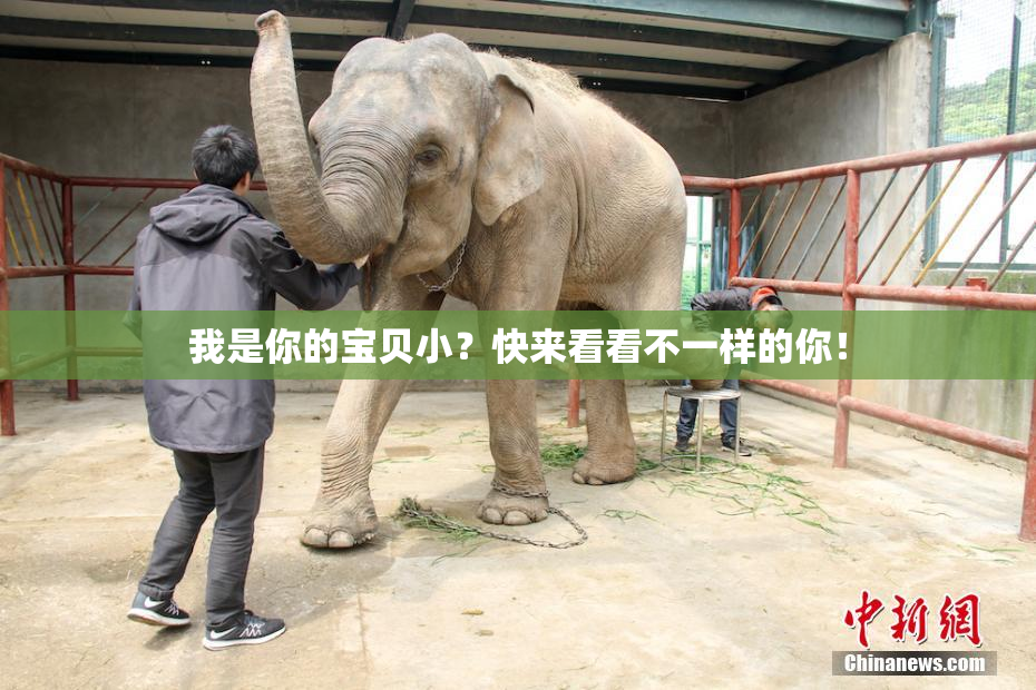 我是你的宝贝小？快来看看不一样的你！