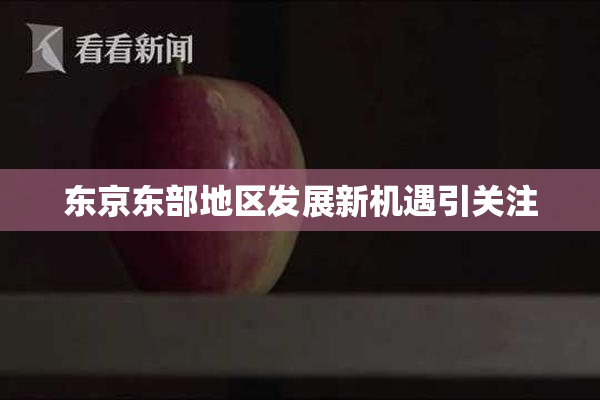 东京东部地区发展新机遇引关注