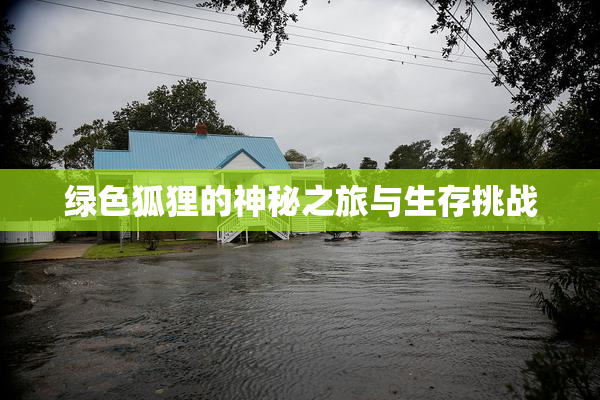 绿色狐狸的神秘之旅与生存挑战