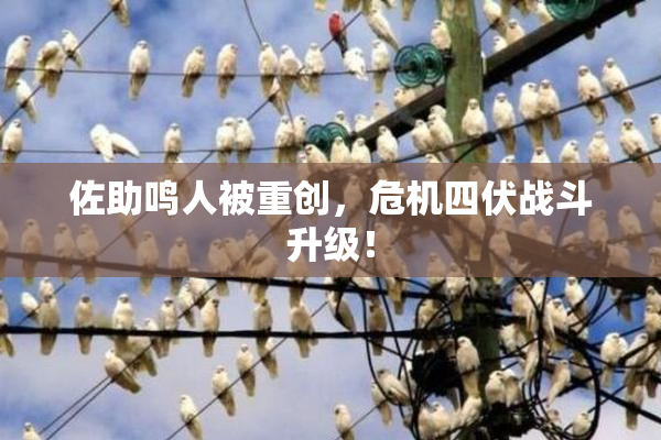 佐助鸣人被重创，危机四伏战斗升级！