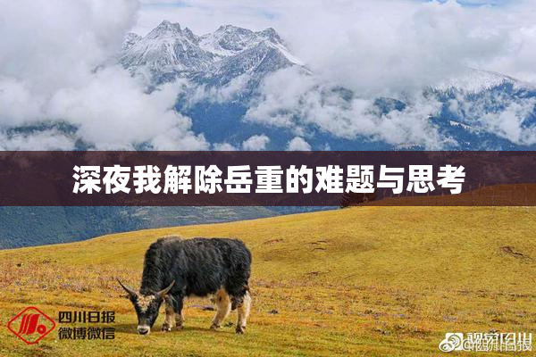 深夜我解除岳重的难题与思考