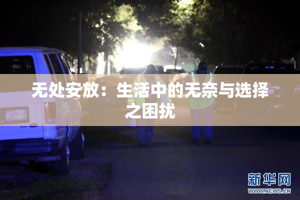 无处安放：生活中的无奈与选择之困扰