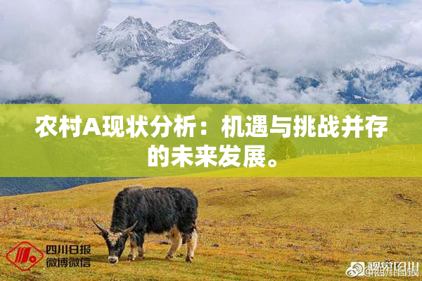 农村A现状分析：机遇与挑战并存的未来发展。