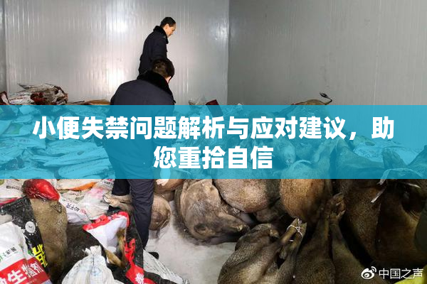 小便失禁问题解析与应对建议，助您重拾自信