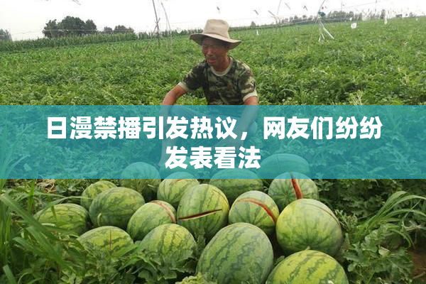 日漫禁播引发热议，网友们纷纷发表看法