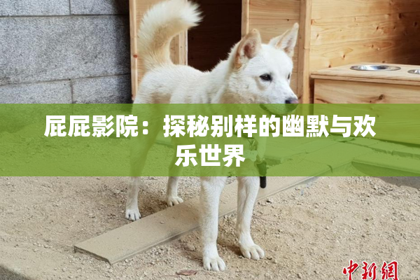 屁屁影院：探秘别样的幽默与欢乐世界