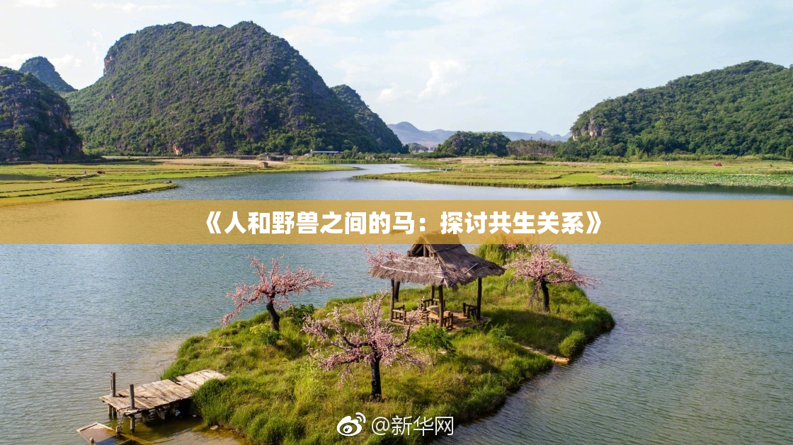 《人和野兽之间的马：探讨共生关系》